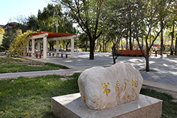 對外經(jīng)濟(jì)貿(mào)易大學(xué)書籍飄墨香